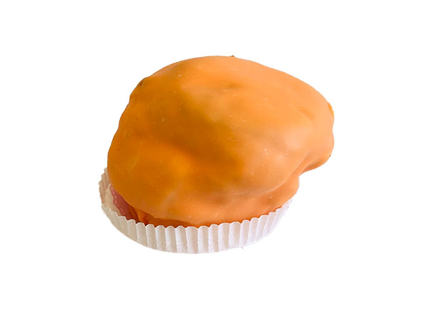 Oranje bossche bol